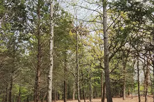 Lot 465 Cr-4710, LaRue, TX 75770 - Photo 4