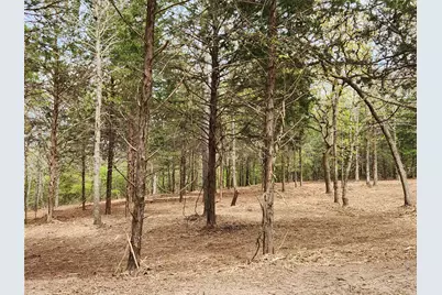 Lot 465 Cr-4710, LaRue, TX 75770 - Photo 8