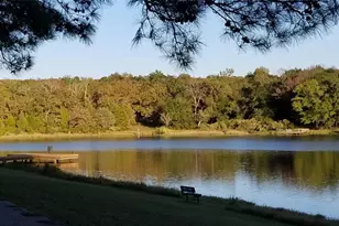 Lot 465 Cr-4710, LaRue, TX 75770 - Photo 28