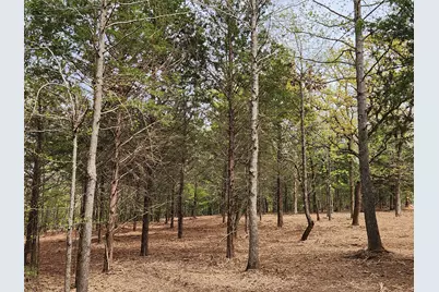 Lot 465 Cr-4710, LaRue, TX 75770 - Photo 2