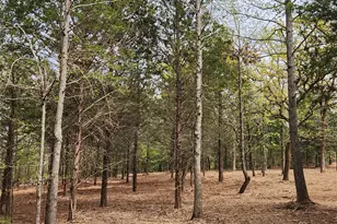 Lot 465 Cr-4710, LaRue, TX 75770 - Photo 2