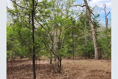 Lot 465 Cr-4710, LaRue, TX 75770 - Photo 14