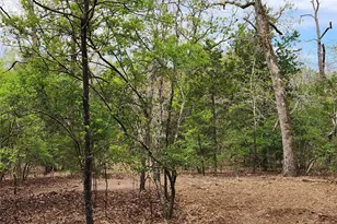 Lot 465 Cr-4710, LaRue, TX 75770 - Photo 14