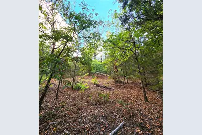 Lot 465 Cr-4710, LaRue, TX 75770 - Photo 22