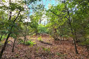 Lot 465 Cr-4710, LaRue, TX 75770 - Photo 22