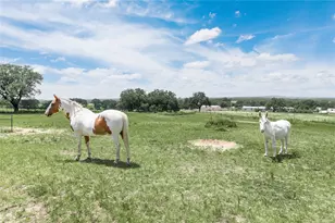 3718 Hwy 36 W, Rising Star, TX 76471 - Photo 32