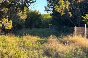 125 Co Rd 403, Goldthwaite, TX 76844 - Photo 4