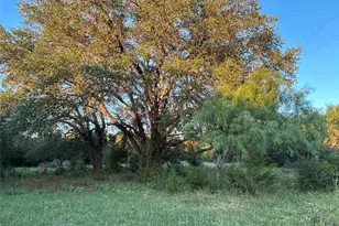 125 Co Rd 403, Goldthwaite, TX 76844 - Photo 20