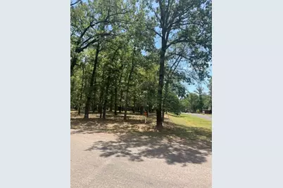 146 St Andrews Drive, Mabank, TX 75156 - Photo 4