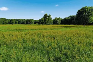 500 County Rd 1300, Lake Creek, TX 75450 - Photo 34