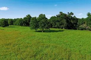 500 County Rd 1300, Lake Creek, TX 75450 - Photo 32