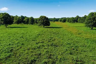 500 County Rd 1300, Lake Creek, TX 75450 - Photo 30
