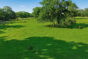 500 County Rd 1300, Lake Creek, TX 75450 - Photo 36