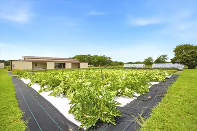 4020 Fm 515A, Emory, TX 75440 - Photo 6