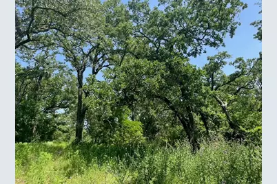 Lot 44 Antrim Court, Poolville, TX 76487 - Photo 1