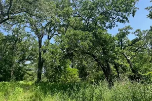 Lot 44 Antrim Ct, Poolville, TX 76487 - Photo 1