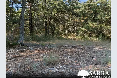 Lot 39 Kilkenny Road, Poolville, TX 76487 - Photo 6