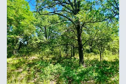 Lot 39 Kilkenny Road, Poolville, TX 76487 - Photo 1