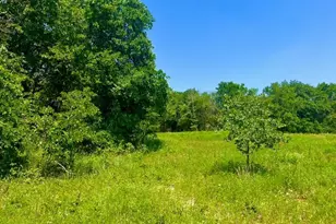 Lot 49 Wicklow Ct, Poolville, TX 76487 - Photo 1