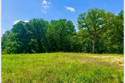 Lot 49 Wicklow Court, Poolville, TX 76487 - Photo 2