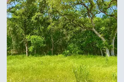 Lot 48 Antrim Court, Poolville, TX 76487 - Photo 2