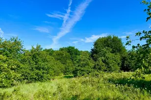 Lot 53 Wicklow Ct, Poolville, TX 76487 - Photo 1