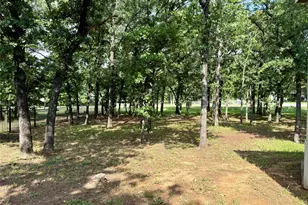 145 Adalida Ln, Springtown, TX 76082 - Photo 28