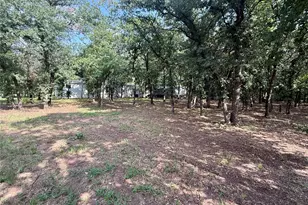 145 Adalida Ln, Springtown, TX 76082 - Photo 28