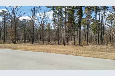 3200 Shadow Pine (Lot 47) Drive, LaRue, TX 75770 - Photo 2