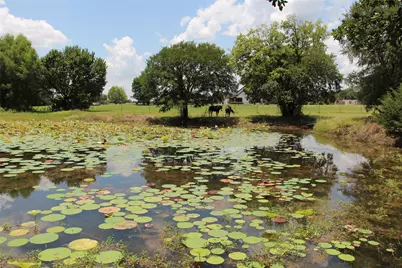 1199 County Road 1245, Savoy, TX 75479 - Photo 20