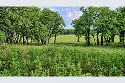 978 Longbranch Road, Nocona, TX 76255 - Photo 4