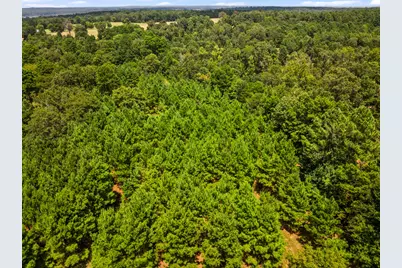 Tbd Fm 1519, Leesburg, TX 75451 - Photo 18