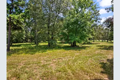 Tbd Fm 1519, Leesburg, TX 75451 - Photo 12