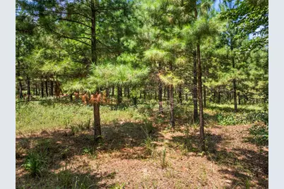 Tbd Fm 1519, Leesburg, TX 75451 - Photo 14