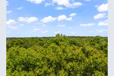 Tbd Fm 1519, Leesburg, TX 75451 - Photo 20