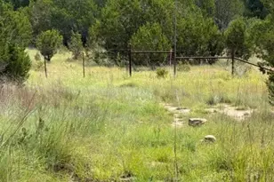 3828 W Fm 219, Hico, TX 76457 - Photo 2