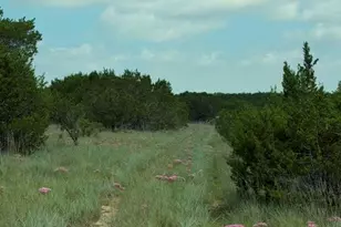 3828 W Fm 219, Hico, TX 76457 - Photo 38