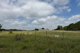 3828 W Fm 219, Hico, TX 76457 - Photo 30
