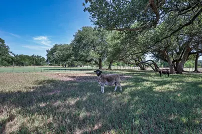 2517 County Road 4240, Clifton, TX 76634 - Photo 32