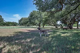2517 County Rd 4240, Clifton, TX 76634 - Photo 32
