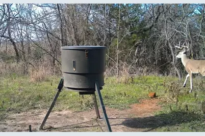 Tbd NE Cr 2035, Kerens, TX 75144 - Photo 24