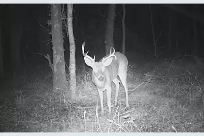 Tbd NE Cr 2035, Kerens, TX 75144 - Photo 16