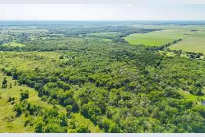 Tbd NE Cr 2035, Kerens, TX 75144 - Photo 8