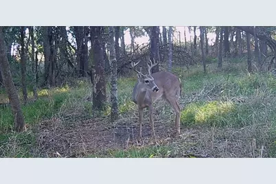Tbd NE Cr 2035, Kerens, TX 75144 - Photo 20