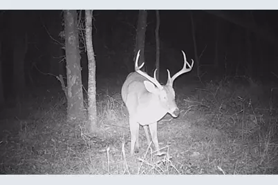 Tbd NE Cr 2035, Kerens, TX 75144 - Photo 22