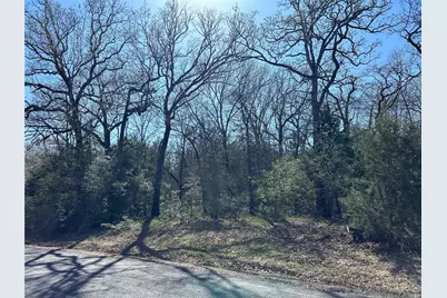 Tbd Shenandoah Drive #Lot 153-R, Streetman, TX 75859 - Photo 12