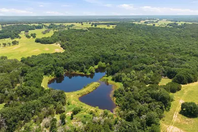 5835 N Fm 1744, Hico, TX 76457 - Photo 4