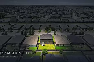 907 Amber St, Princeton, TX 75407 - Photo 24