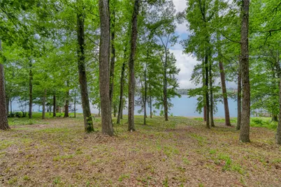 Tbd Naus Drive, Winnsboro, TX 75494 - Photo 12