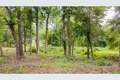 Tbd Naus Drive, Winnsboro, TX 75494 - Photo 4